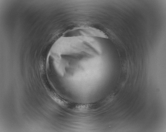 X0000080730084200701021132