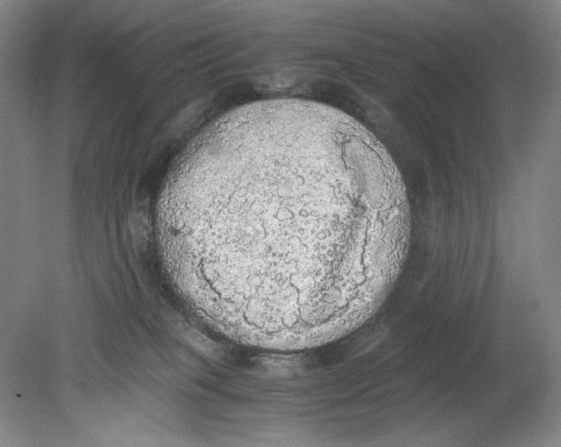 X0000080730085200701021132