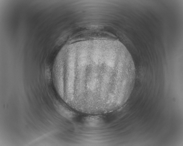 X0000080730086200701021132