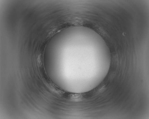 X0000080730088200701021132