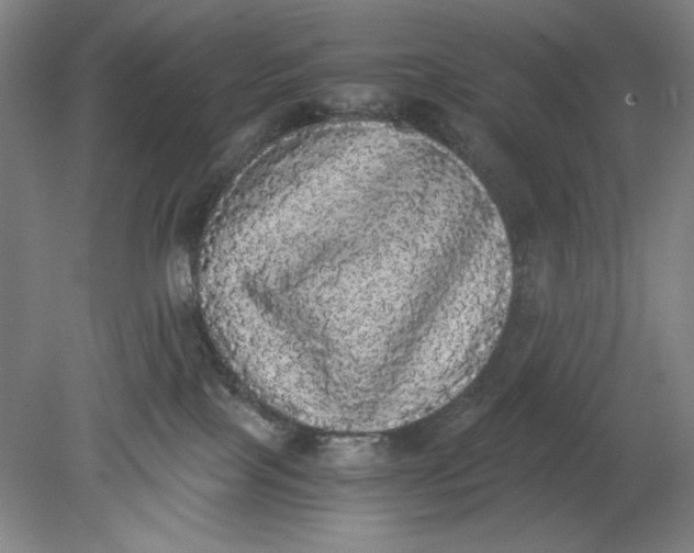 X0000080730089200701021132