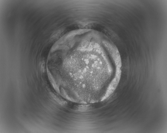 X0000080730090200701021132