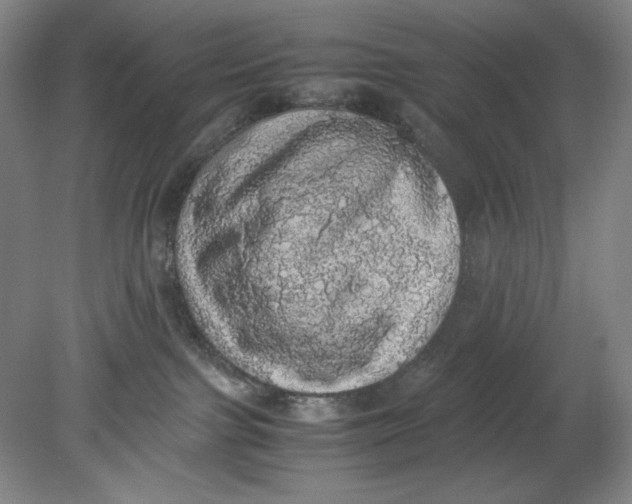 X0000080730091200701021132