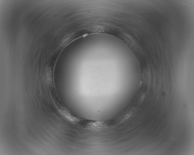 X0000080730092200701021132