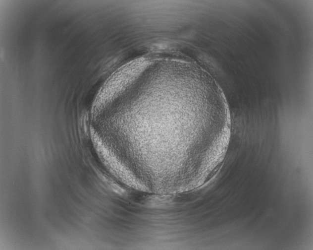 X0000080730094200701021132