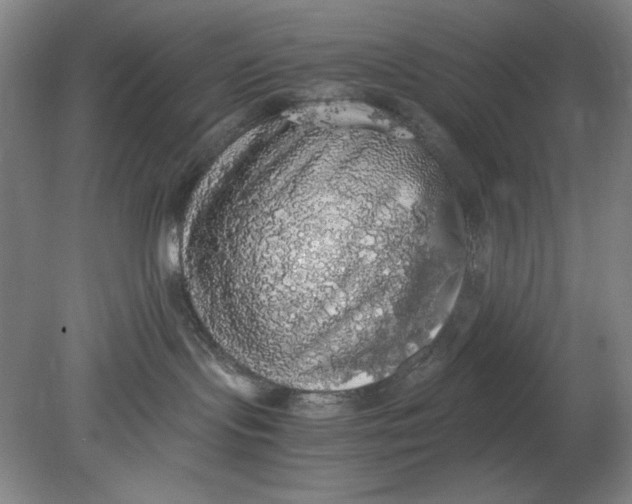 X0000080730095200701021132