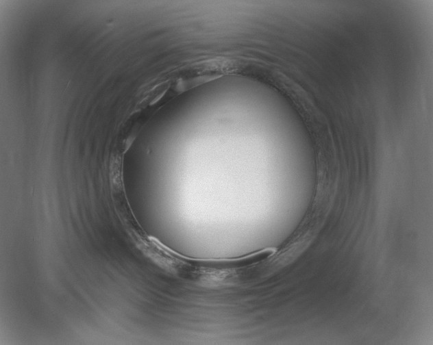 X0000080730096200701021132