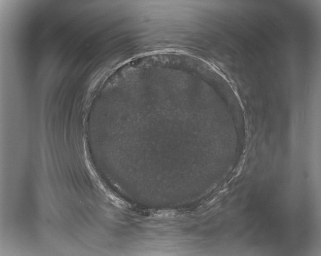 X0000080730097200701021131