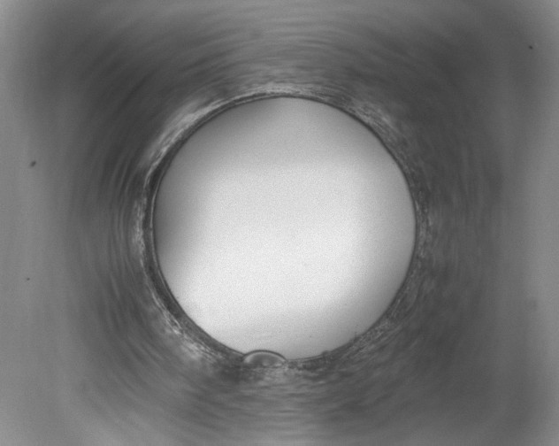 X0000080730098200701021131