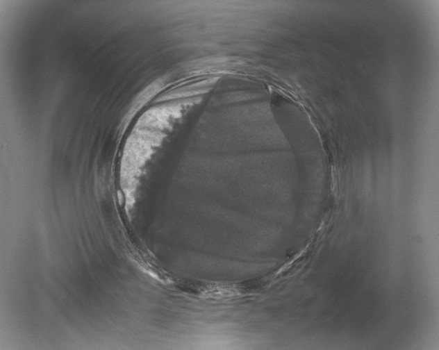 X0000080730099200701021131