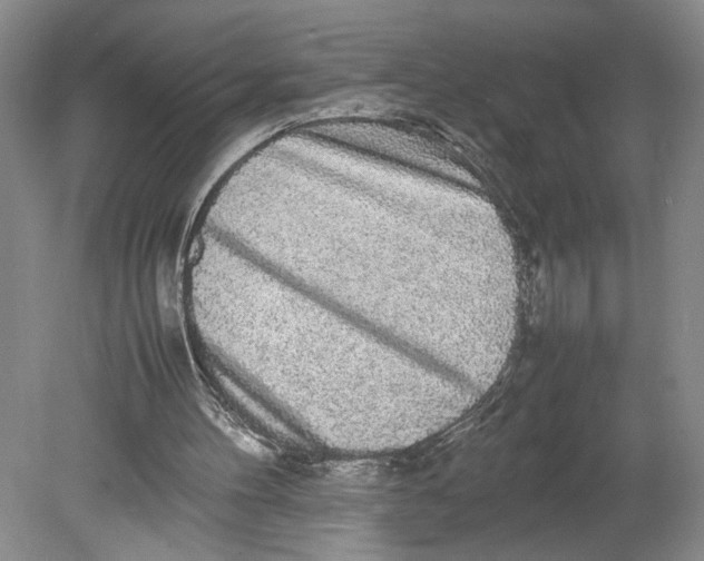 X0000080730100200701021131