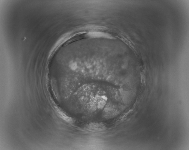 X0000080730101200701021131