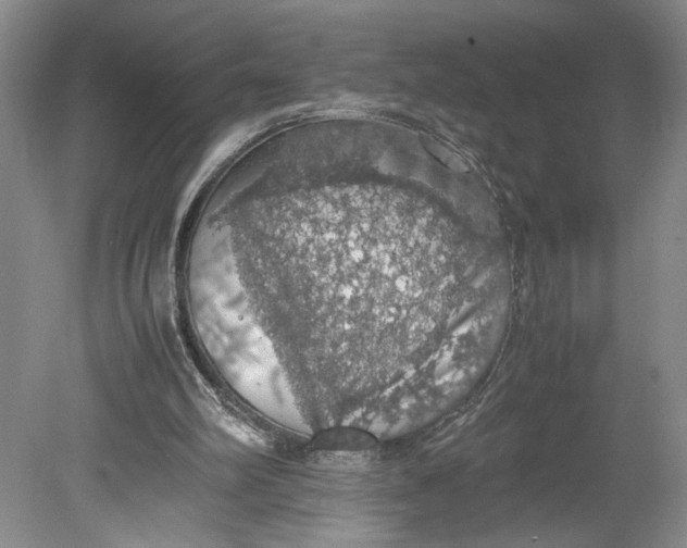 X0000080730102200701021131