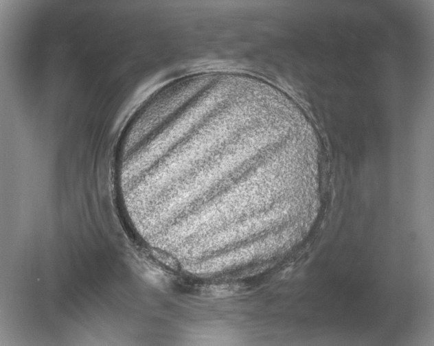 X0000080730103200701021131