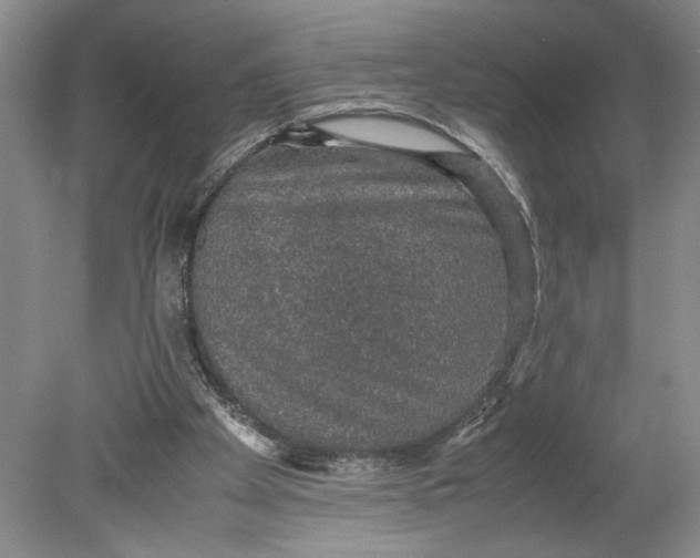 X0000080730105200701021131