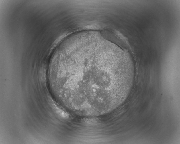 X0000080730106200701021131