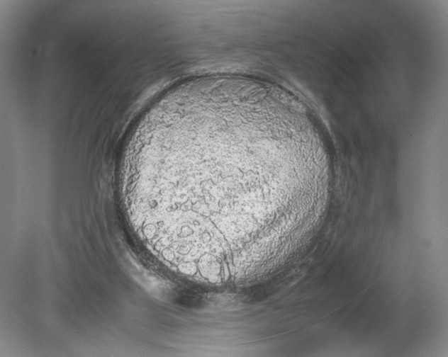 X0000080730107200701021131