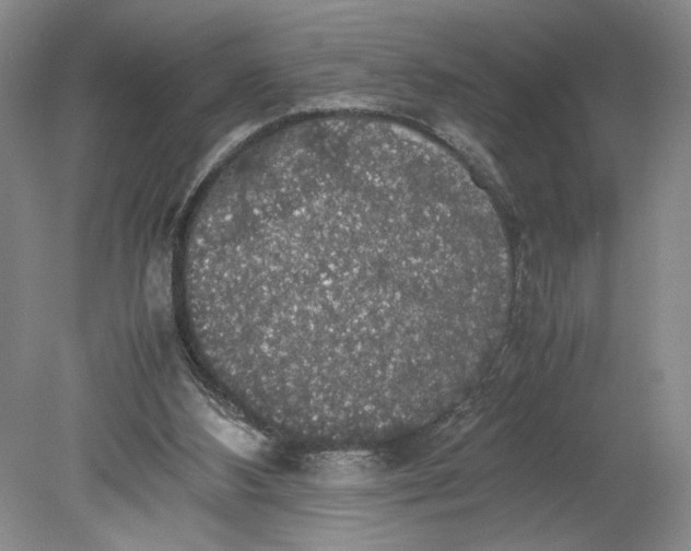 X0000080730108200701021131