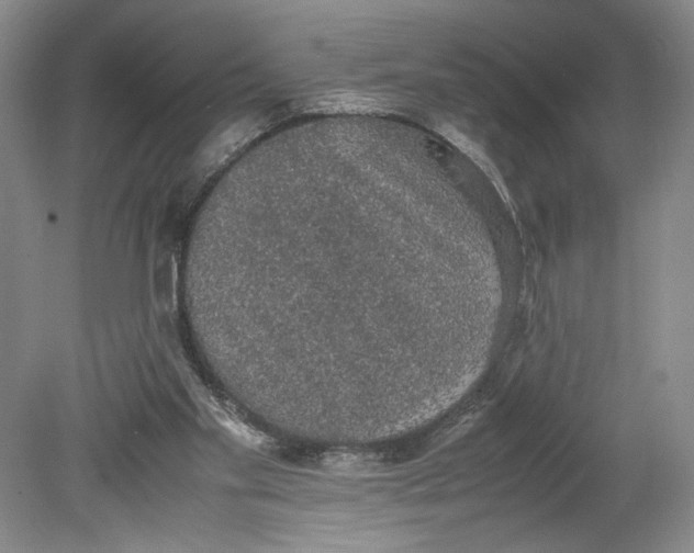 X0000080730109200701021131