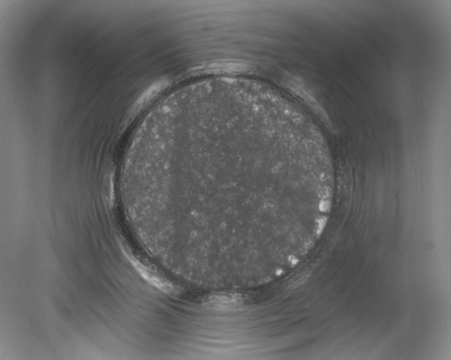 X0000080730110200701021131