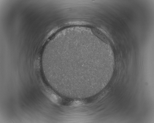 X0000080730111200701021131