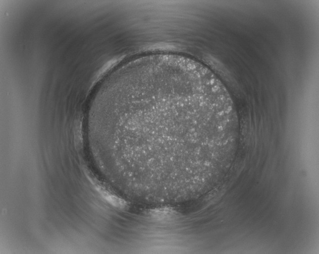 X0000080730112200701021131