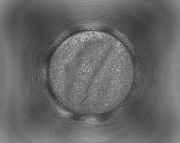 X0000080730113200701021131