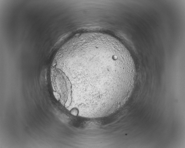 X0000080730115200701021131