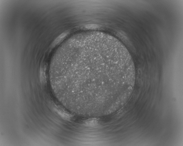 X0000080730116200701021131