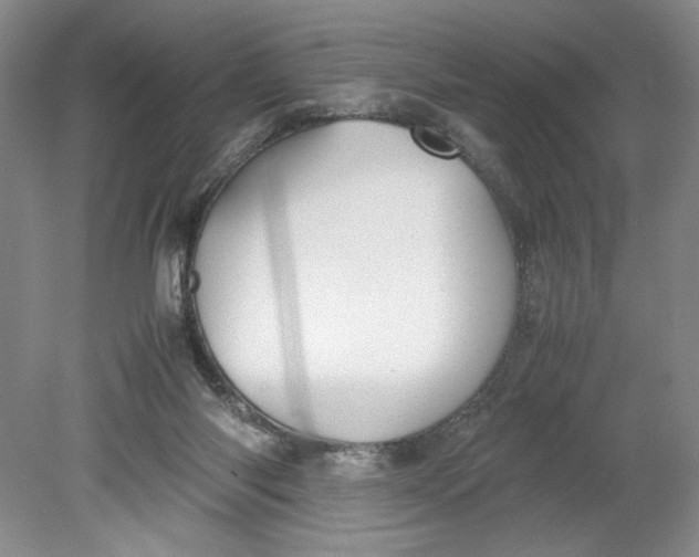 X0000080730118200701021131