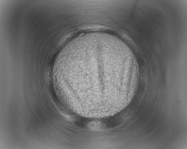 X0000080730119200701021131