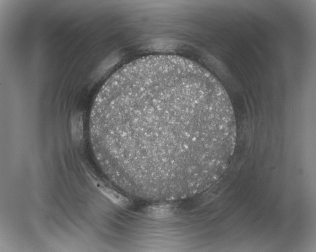 X0000080730120200701021131