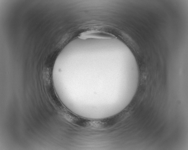 X0000080730121200701021131