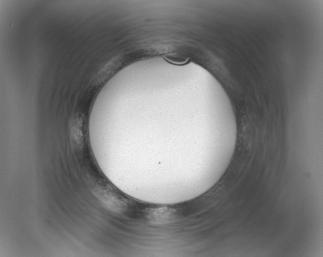 X0000080730122200701021131