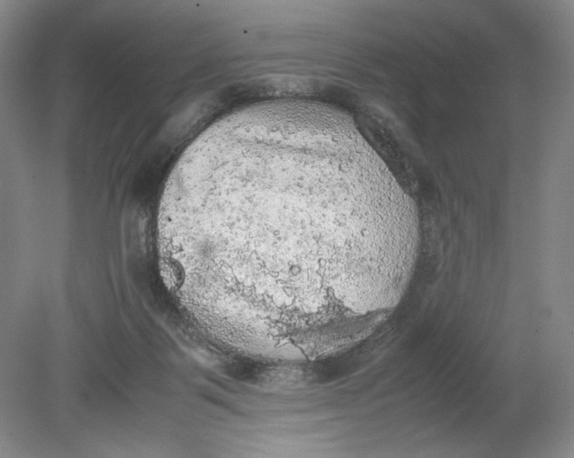 X0000080730123200701021131