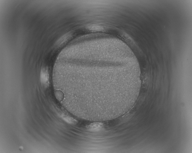 X0000080730124200701021131