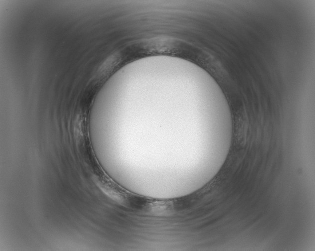 X0000080730126200701021131