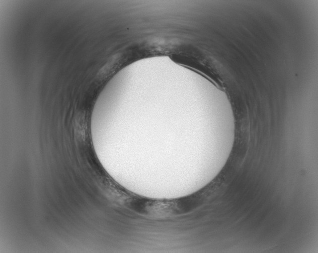 X0000080730129200701021131