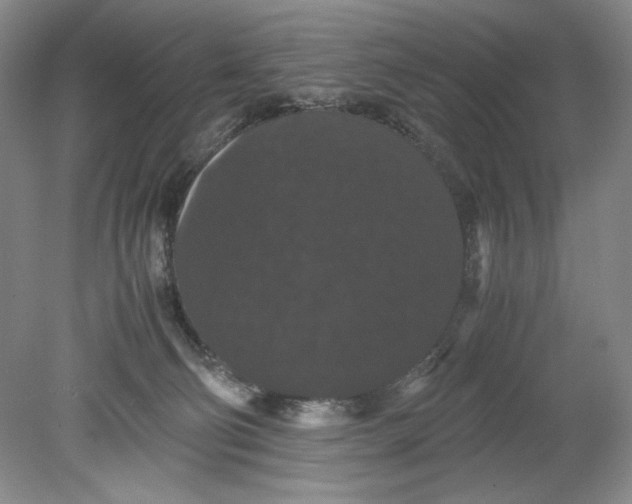 X0000080730130200701021131