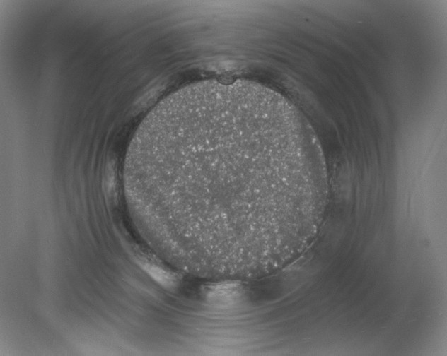 X0000080730132200701021131