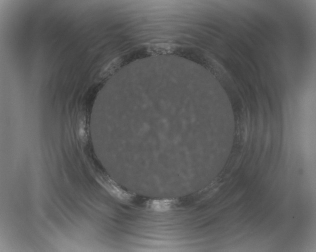 X0000080730134200701021131