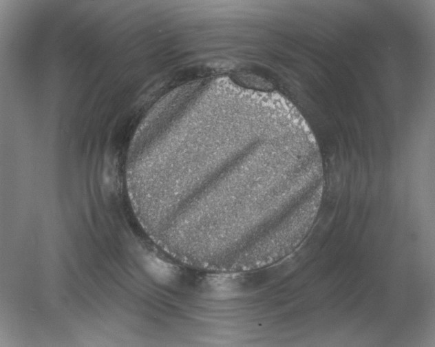 X0000080730136200701021130