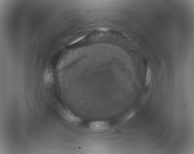 X0000080730137200701021130