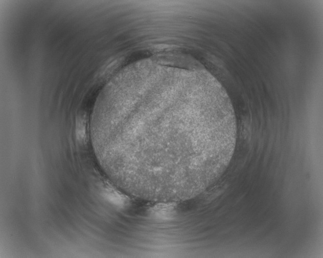 X0000080730138200701021130