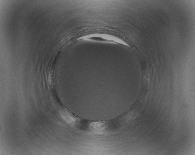 X0000080730139200701021130