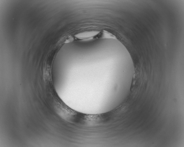 X0000080730141200701021130