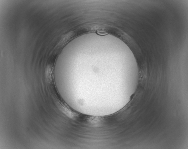 X0000080730142200701021130