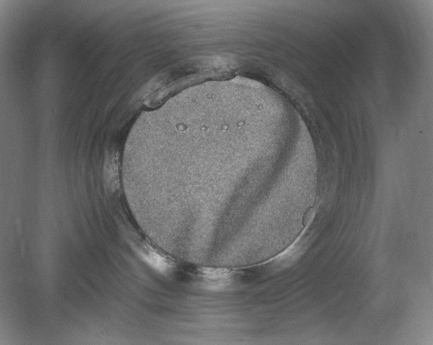 X0000080730144200701021130