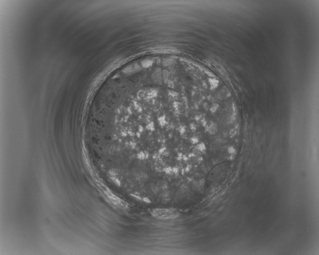 X0000080730145200701021130