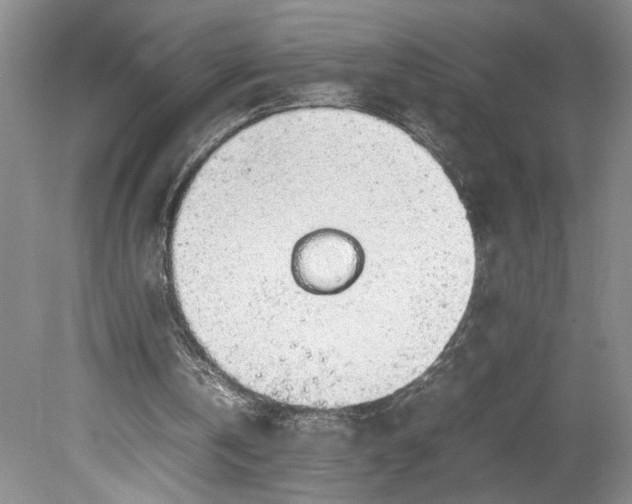 X0000080730146200701021130